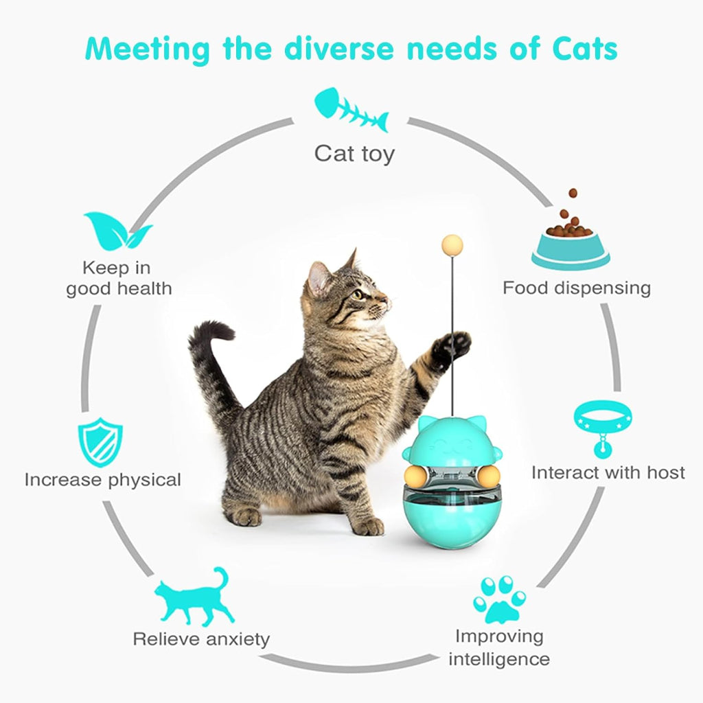 Cat playing with a toy, surrounded by icons and text about meeting cat needs.