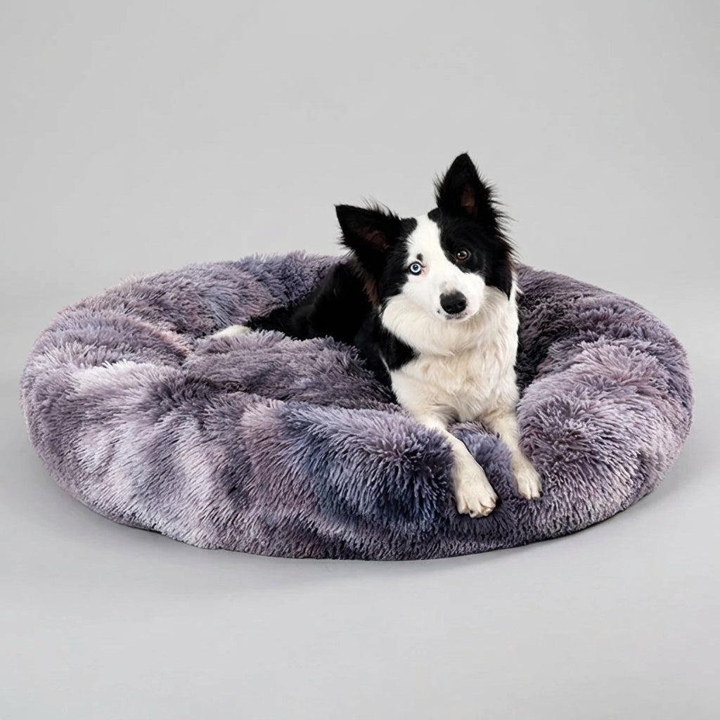 A black and white dog lying on a round, plush, shaggy pet bed in a studio setting with a white background.