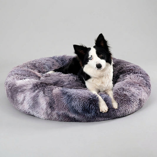 A black and white dog lying on a round, plush, shaggy pet bed in a studio setting with a white background.