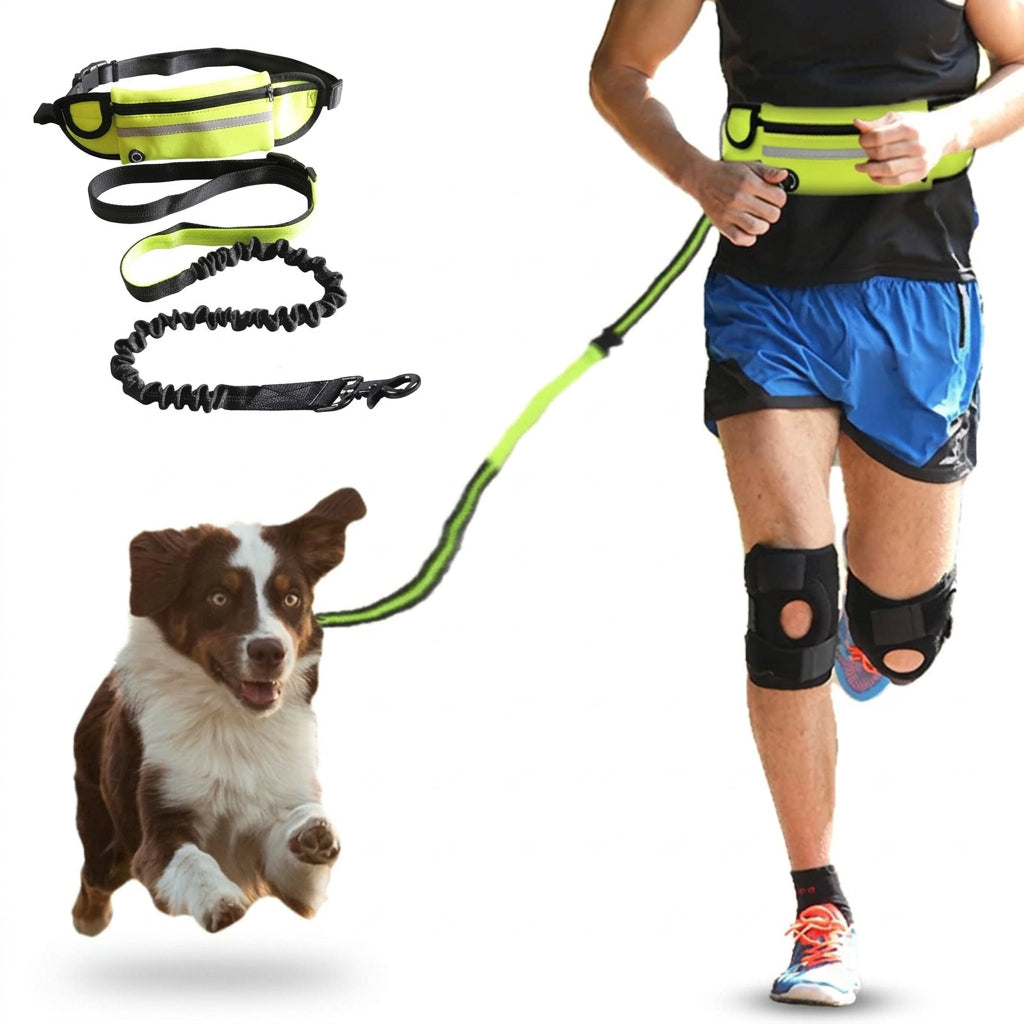 A dog leash and matching waist bag set shown with a dog on the left and a runner wearing the leash and bag on the right. The leash is bright neon green and black with a bungee-style connector, and the waist bag is neon green with black trim.