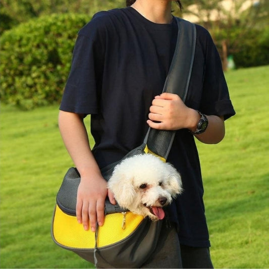 Person holding a yellow and gray pet carrier with a small white dog inside, outdoors on grass.