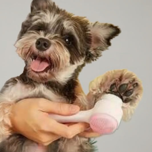 Easy Clean Nylon Pet Paw Brush Gentle Grooming And Massage Tool For Dogs And Cats Pet Grooming Supplies