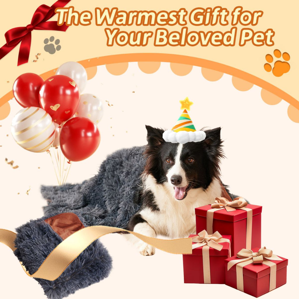 Dog wearing a party hat with balloons and gift boxes, text 'The Warmest Gift for Your Beloved Pet'.