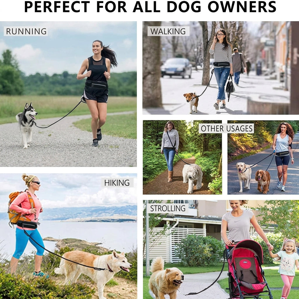 A collage of six lifestyle photos showing women walking dogs in various outdoor settings: running, walking on a street, hiking, strolling, and pushing a stroller. Large text at the top reads 'PERFECT FOR ALL DOG OWNERS.
