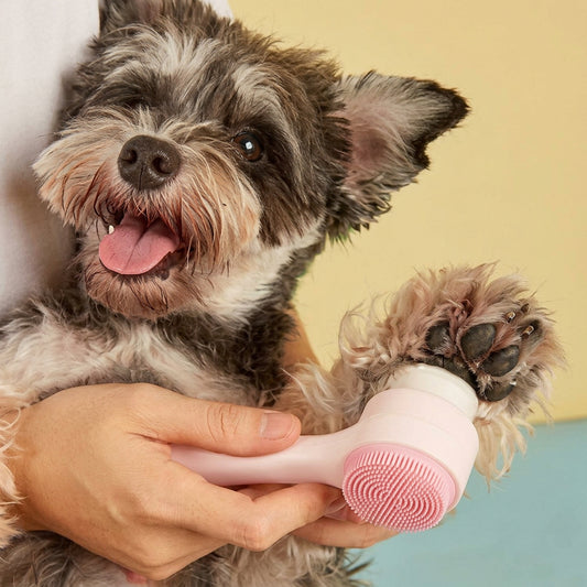 Small dog being held by a person with a pink pet grooming tool against a yellow and blue background