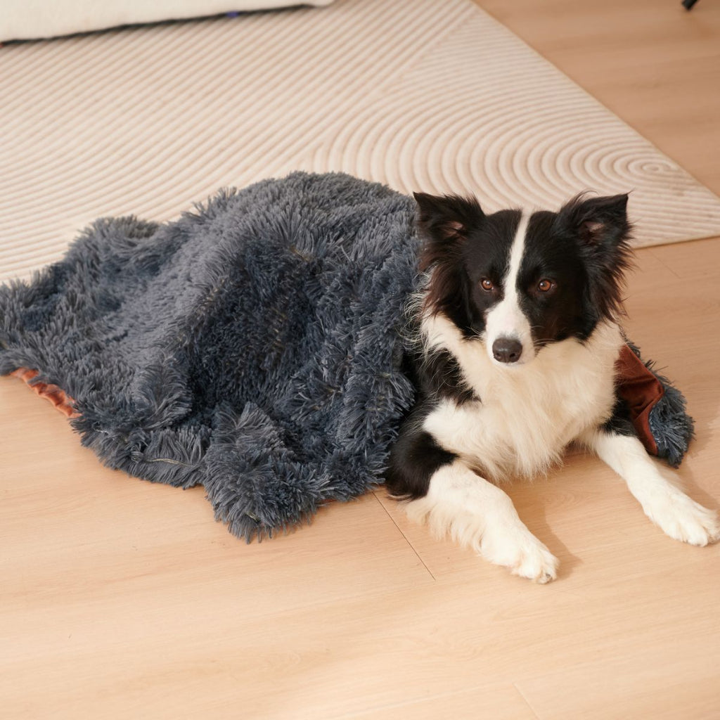 Dog lying on a wooden floor next to a fluffy gray blanket